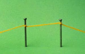 asimmetria organizzativa