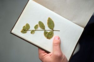 Regolamento aziendale e sostenibilità