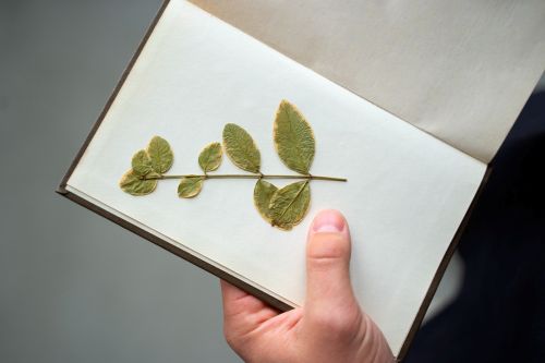 Regolamento aziendale e sostenibilità