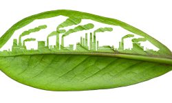 responsabilità sociale