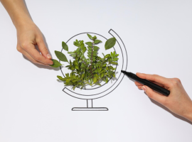 Conformità legislativa ambiente