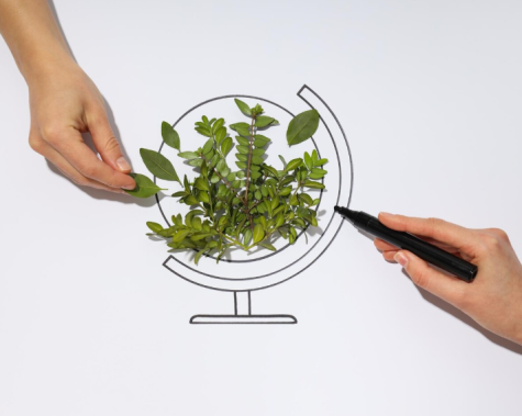 Conformità legislativa ambiente