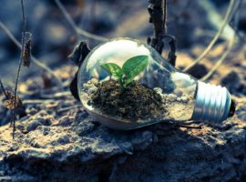 EFRAG e la Rivoluzione della Rendicontazione di Sostenibilità