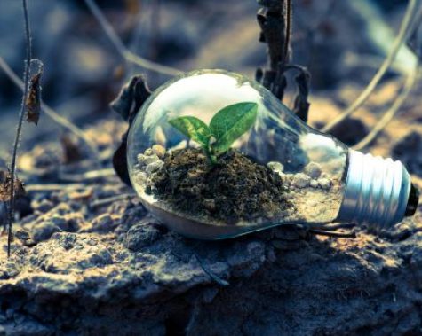 EFRAG e la Rivoluzione della Rendicontazione di Sostenibilità