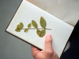 Regolamento aziendale e sostenibilità