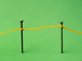 asimmetria organizzativa