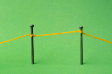 asimmetria organizzativa