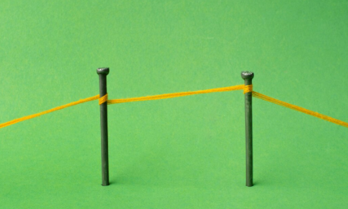 asimmetria organizzativa