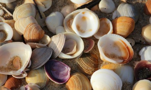 immagine mosaico-mare