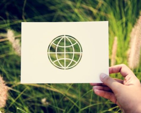 ISO 14001:2026: guida operativa alla nuova frontiera ambientale