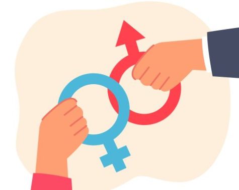 Avvio Parità di Genere N&A